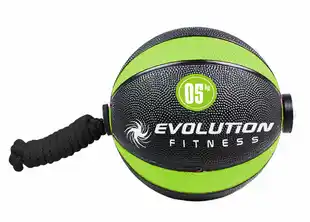 Alkomprar Balón rebote con lazo EVOLUTION 5 kg oferta