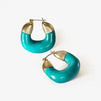 Aretes cao aqua