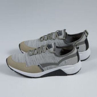 Tenis
