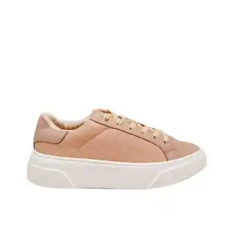 Zavatty Tenis para mujer ta777 oferta