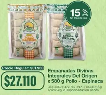 Makro Empanadas Divinas Integrales Del Origen x 580 g Pollo - Espinaca oferta