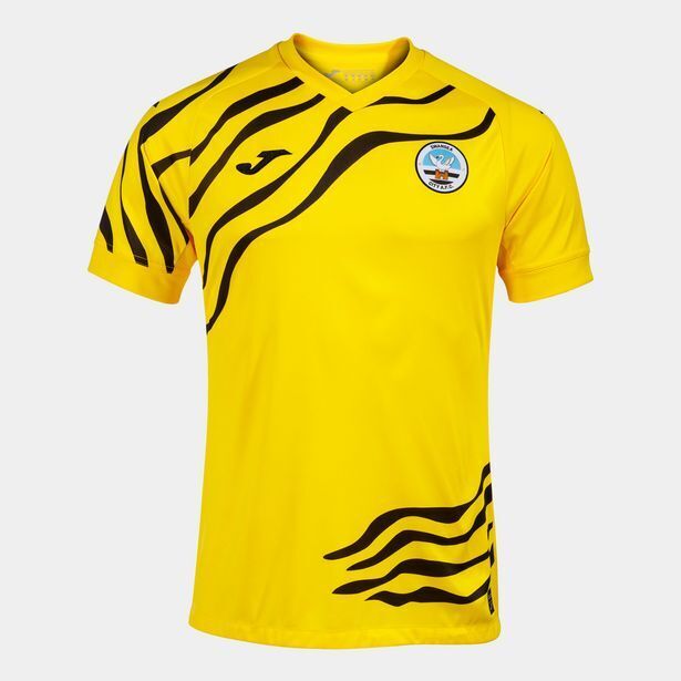 Joma Camiseta manga corta portero swansea city 22/23 oferta