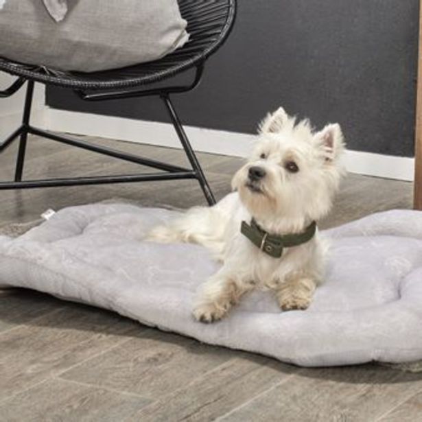 Brissa Cama mascotas flannel estampada huesos gris claro 60 x 90 oferta
