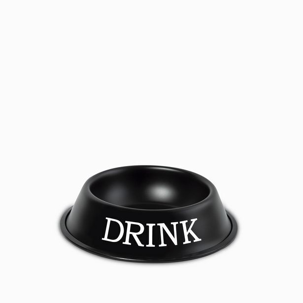 Ambiente Gourmet Tazon para mascotas drink negro oferta