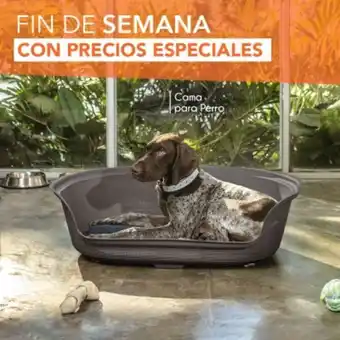 Rimax Cama para perro oferta