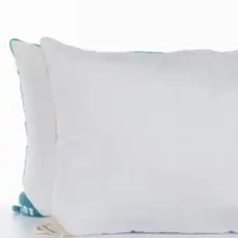 Home Sentry Set x 2 almohadas mix oferta