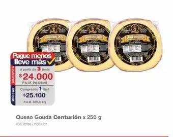 Makro Queso Gouda Centurión x 250 g oferta