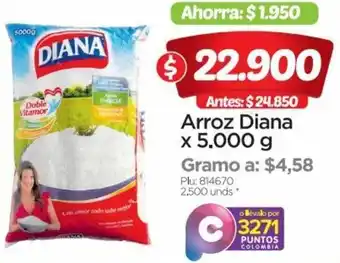 Surtimax Arroz Diana x 5000g oferta