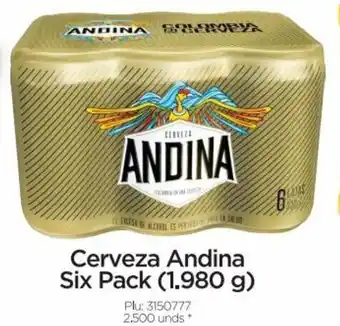 Surtimax Cerveza Andina Six Pack (1.980 g) oferta