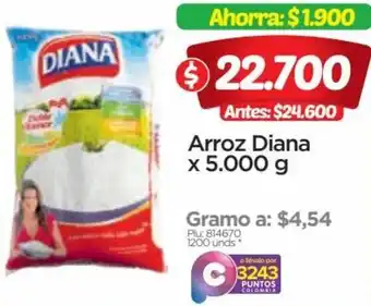 Surtimax Arroz Diana x 5.000 g oferta