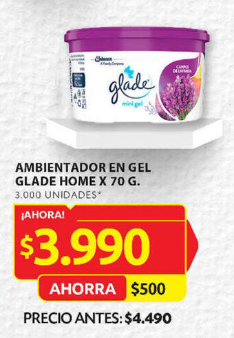 Ara AMBIENTADOR EN GEL GLADE HOME X 70 G. oferta