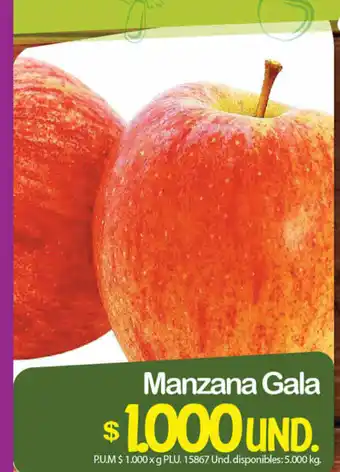 Manzana Gala