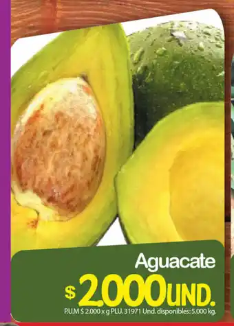 Aguacate