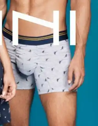 Éxito Boxer Bronzini oferta