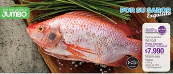 Jumbo Mojarra roja fresca x 500g oferta