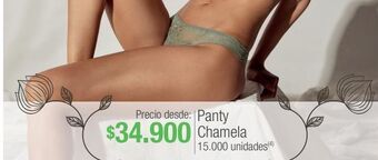 Jumbo Panty chamela oferta
