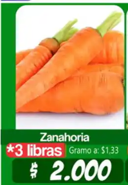 Autoservicio El Jardín Zanahoria 3 libras oferta