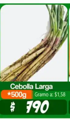 Autoservicio El Jardín Cebolla Larga 500g oferta