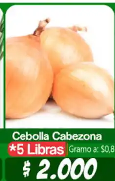 Autoservicio El Jardín Cebolla Cabezona 5 Libras oferta