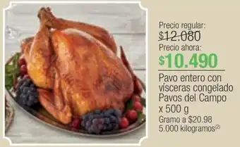 Jumbo Pavo entero con vísceras congelado Pavos del Campo x 500 g oferta