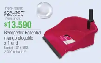 Jumbo Recogedor Rozenbal mango plegable x 1 und oferta