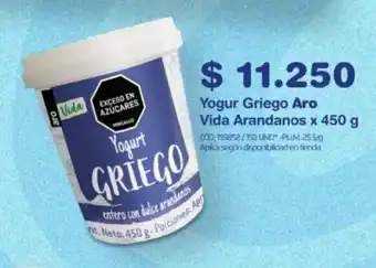 Makro Yogur Griego Aro Vida Arandanos x 450 g oferta