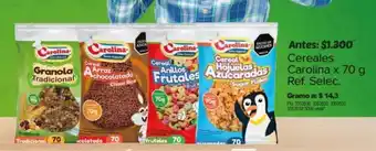 Surtimax Cereales Carolina x 70 g oferta