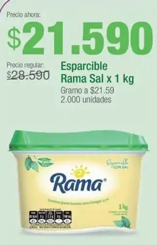 Jumbo Esparcible Rama Sal x 1 kg oferta
