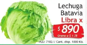 Lechuga Batavia