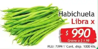 Habichuela 1000kls