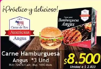 Carne Hamburguesa Angus 3 Und