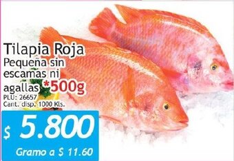 Belalcazar Tilapia Roja 500g oferta