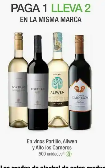 Jumbo En vinos portillo, aliwen y alto los carneros oferta