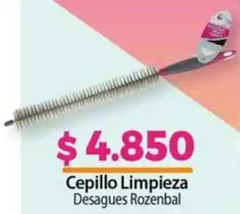 Cepillo Limpieza Desagues Rozenbal
