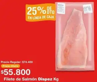Makro Filete de Salmón Dispez kg oferta