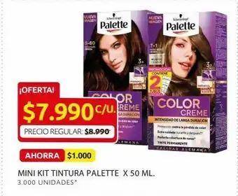 Ara Mini kit tintura palette x 50 ml. oferta