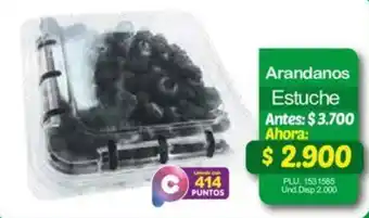 Arandanos Estuche