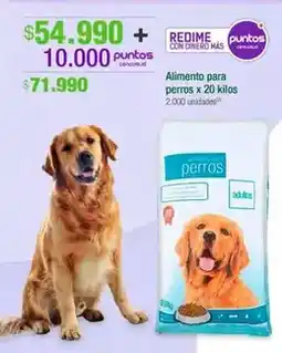 Jumbo Alimento para perros x 20 kilos oferta