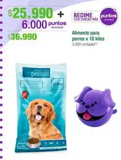 Jumbo Alimento para perros oferta
