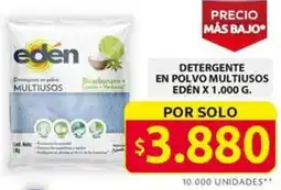 Ara DETERGENTE EN POLVO MULTIUSOS EDÉN X 1.000G oferta