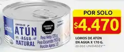 Ara LOMOS DE ATÚN EN AGUA X 170G oferta