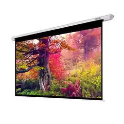 Falabella Pantalla Pared 2.05 X 2.05m Formato 1:1 oferta