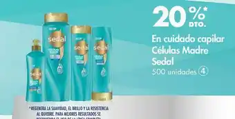 Metro En cuidado capilar células madre sedal -20% oferta