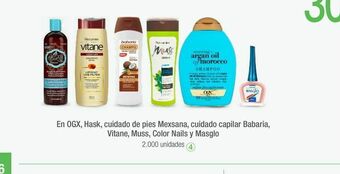 Jumbo Shampoo oferta