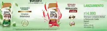 Jumbo Shampoo limpieza herbal o reducción caída vanart x 600 ml oferta
