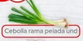 La Vaquita Supermercados Cebolla rama pelada oferta