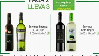Jumbo Vino gato negro oferta