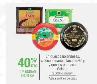 Jumbo Queso holandés oferta