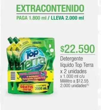 Jumbo Detergente líquido top terra oferta