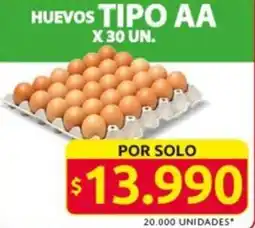 Ara Huevos tipo aa oferta